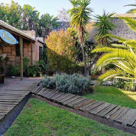 Saltycrax Backpackers And Surf Hostel By Curiocity Блуберґстранд Екстер'єр фото