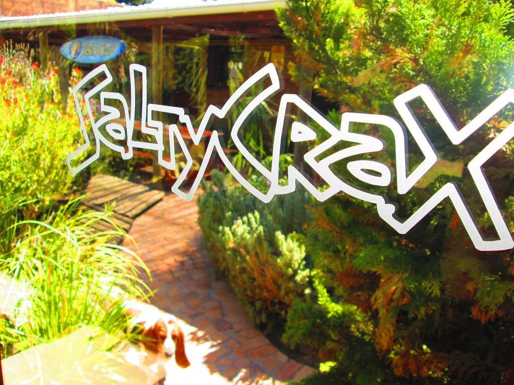 Saltycrax Backpackers And Surf Hostel By Curiocity Блуберґстранд Екстер'єр фото