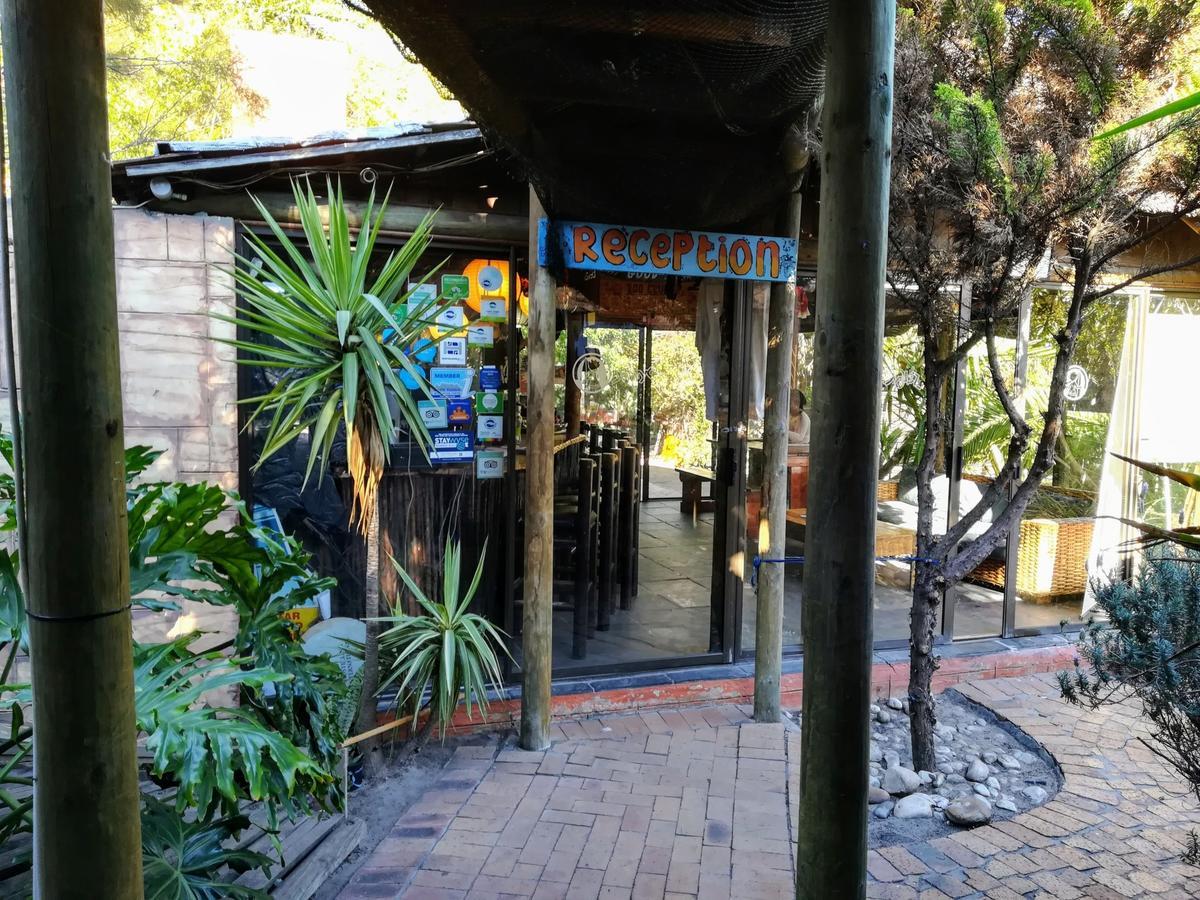 Saltycrax Backpackers And Surf Hostel By Curiocity Блуберґстранд Екстер'єр фото