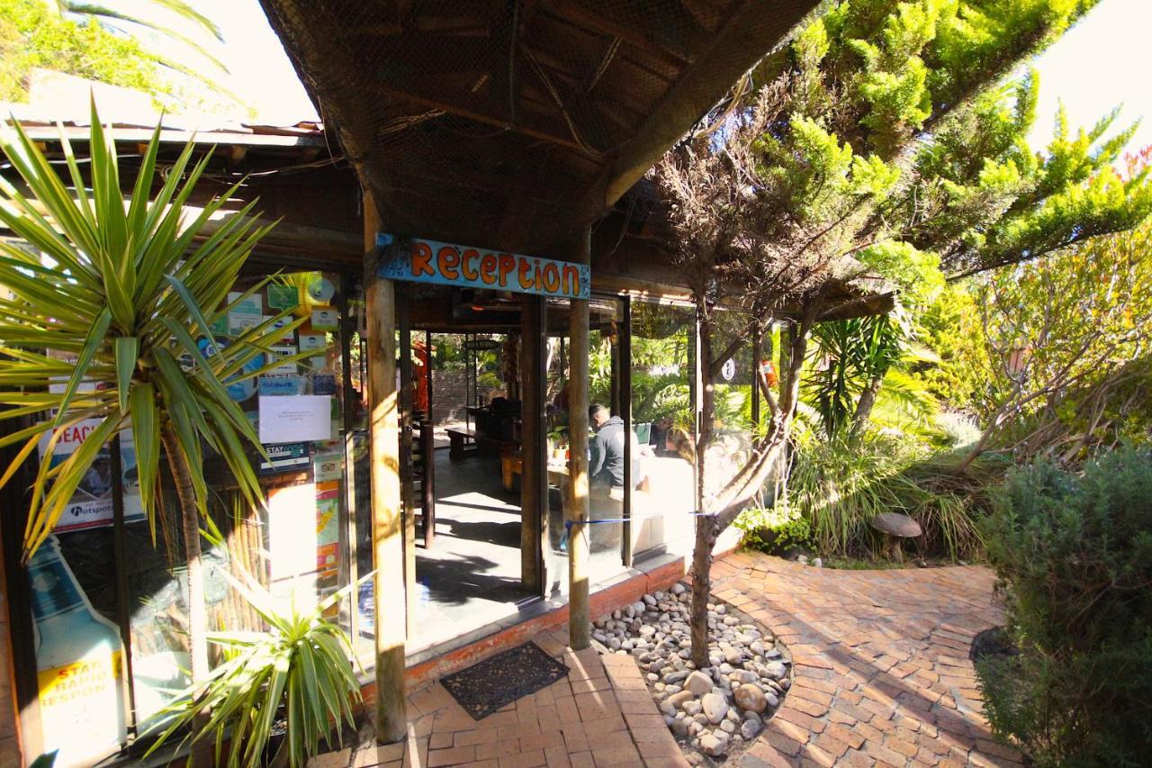 Saltycrax Backpackers And Surf Hostel By Curiocity Блуберґстранд Екстер'єр фото
